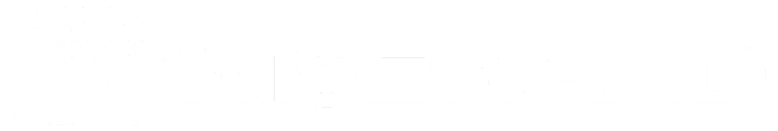 Wisewand